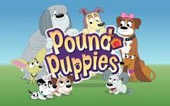 Which Pound Puppy Are You Which Pound Puppy Are You
