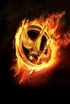 are you a true hunger games fan? (1) are you a true hunger games fan? (1)