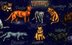 If you were in Warriors, you would be... If you were in Warriors, you would be...