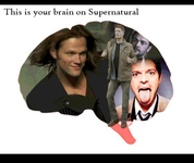 Does your brain love Supernatural? Does your brain love Supernatural?