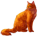 Warrior Cats Quiz: Books 1-6 (The Prophecies Begin)