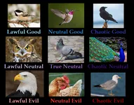 What Dungeons and Dragons alignment are you? What Dungeons and Dragons alignment are you?