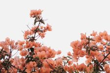 find your own unique aesthetic find your own unique aesthetic