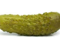 Are You a Pickle? Are You a Pickle?