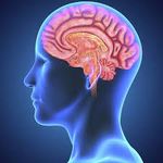 Are You Smart Enough To Pass? Are You Smart Enough To Pass?