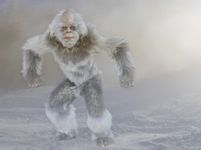 Which Yeti Are You? Which Yeti Are You?
