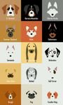 What dog breed are you most like? (1) What dog breed are you most like? (1)