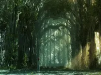 Do you belong in one of the unknown groups?
