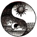 Do you belong in SolarCity or LunarCity? Do you belong in SolarCity or LunarCity?