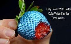 Only People With Perfect Color Vision Can Read These Words Only People With Perfect Color Vision Can Read These Words