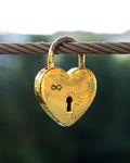 The Unconditional Love Test The Unconditional Love Test