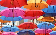 which umbrella are you? which umbrella are you?