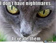 Which Hogwarts House does your cat belong in? Which Hogwarts House does your cat belong in?