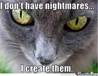 Which Hogwarts House does your cat belong in? Which Hogwarts House does your cat belong in?