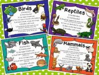 Mammals of the World Personality Quiz Mammals of the World Personality Quiz