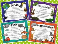 Mammals of the World Personality Quiz Mammals of the World Personality Quiz