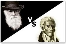 Biologia Evolutiva Biologia Evolutiva