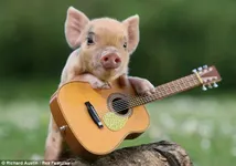 Are you Boy Crazy!? Are you Boy Crazy!?