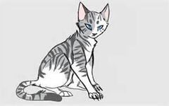 Who Would Your Warrior Cat Father Be? Who Would Your Warrior Cat Father Be?