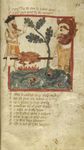 The Rome Chronicles The Rome Chronicles
