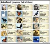 How to figure out your spirit animal? How to figure out your spirit animal?