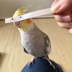 B U R B B U R B