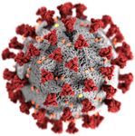 Corona Viruses COVID-19 Check Corona Viruses COVID-19 Check