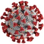 Corona Viruses COVID-19 Check Corona Viruses COVID-19 Check