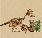 dinosaur quiz dinosaur quiz