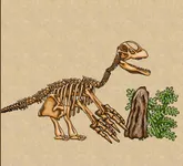 dinosaur quiz dinosaur quiz