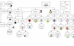 Operating System Types Quiz Operating System Types Quiz