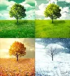What season are you? (5) What season are you? (5)