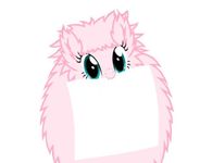 The Fluffle Puff quiz! The Fluffle Puff quiz!