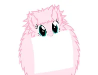 The Fluffle Puff quiz! The Fluffle Puff quiz!
