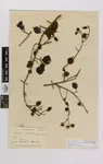 Test Your Botany Knowledge Test Your Botany Knowledge