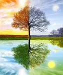 Which season are you? (3) Which season are you? (3)