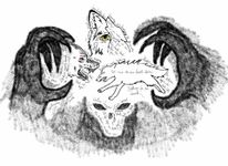 are you a wolf or cat are you a wolf or cat