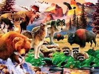 What Animal Do You Represent? What Animal Do You Represent?
