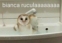 quem eh vc no bianca rucula parte 2 quem eh vc no bianca rucula parte 2