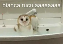 quem eh vc no bianca rucula parte 2 quem eh vc no bianca rucula parte 2