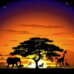 What African animal are you? What African animal are you?