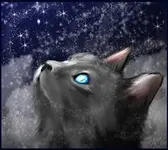 Would you be a medicine cat? Would you be a medicine cat?