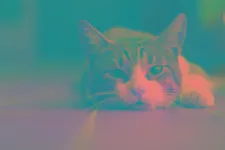 Which ThunderClan cat are you? (1) Which ThunderClan cat are you? (1)