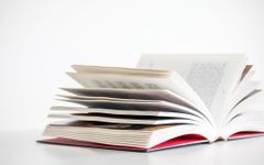 What Qfeast story should you read? What Qfeast story should you read?