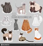 Funny Animal Videos Personality Quiz Funny Animal Videos Personality Quiz