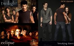 The Twilight Saga Test (first series) The Twilight Saga Test (first series)