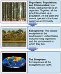 Test Your Knowledge in Ecology Test Your Knowledge in Ecology