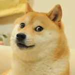 What Dog Breed Are You? (6) What Dog Breed Are You? (6)