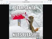 Are u a christmas person? Are u a christmas person?