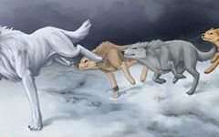 What Anime Wolf Are You? What Anime Wolf Are You?